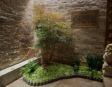 1757577225351721.jpg 28.jpg