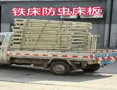 1763437847510933.jpg 12.jpg