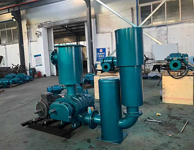 1764816375930995.jpg 15.jpg