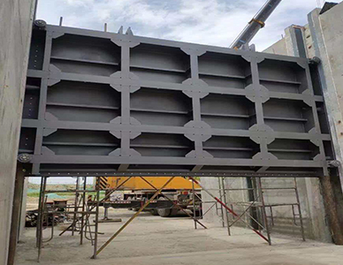 1769500225853677.jpg 16.jpg