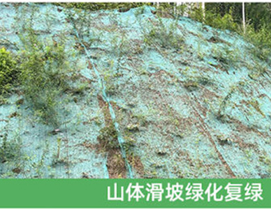 1773640860885933.jpg 31.jpg