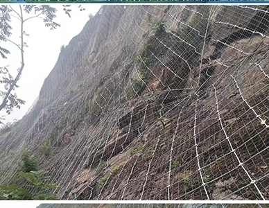 1773641129472531.jpg 16.jpg