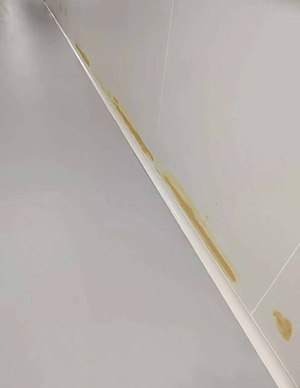 1773642266733751.jpg 19.jpg