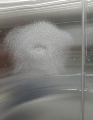 1773642634713509.jpg 不锈钢修复 (1).jpg